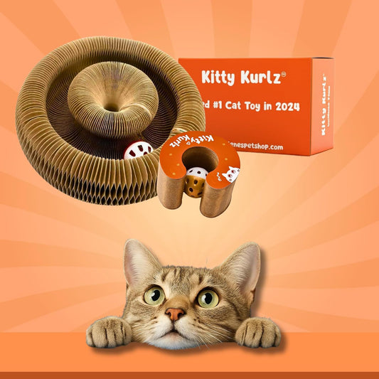 Katzenspielzeug Mit Glocken Akkordeon Kratzpost Kaffeebraun - Hobbyfy