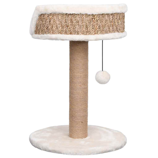 Kompakter Katzenkratzbaum Seagrass Kratzstamm 49 cm - Hobbyfy