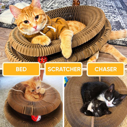 KatzenLiebe Katzenspielzeug Mit Glocken Akkordeon Kratzpost Kaffeebraun