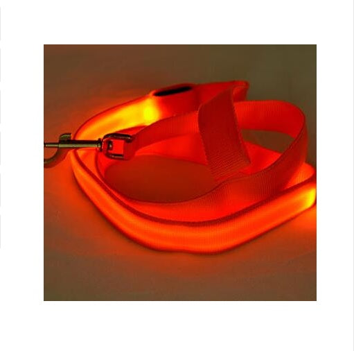 LED Beleuchtete Nylon-Hundeleine Mit 3 Modi - Hobbyfy
