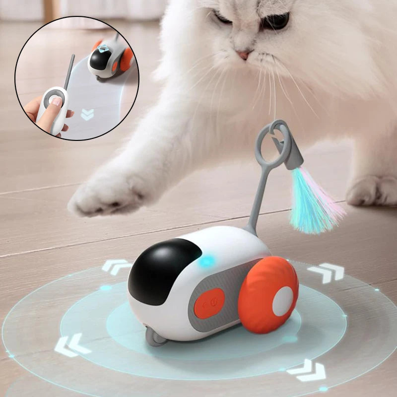 Katzen Auto Spielzeug Fernsteuerung USB Aufladbar Jagdmodus - Hobbyfy