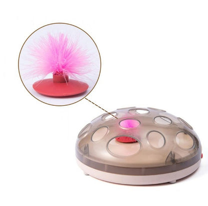 Elektrisches Katzenspielzeug Karussell - Hobbyfy