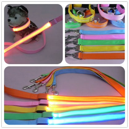 LED Beleuchtete Nylon-Hundeleine Mit 3 Modi - Hobbyfy