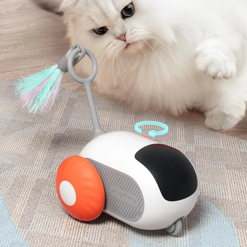 Katzen Auto Spielzeug Fernsteuerung USB Aufladbar Jagdmodus - Hobbyfy