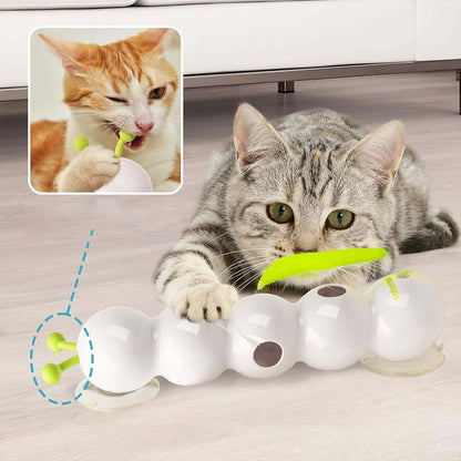KatzenGlanz Wiederaufladbares Katzenspielzeug - Hobbyfy