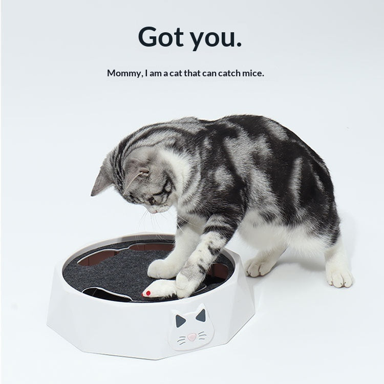 PlushPet Kleiner Plüschmaus Katzenspielzeug Drehteller Automatisch Leise