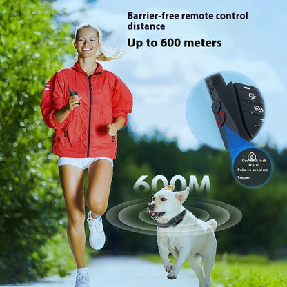 Smarter Hundetrainer - Hobbyfy