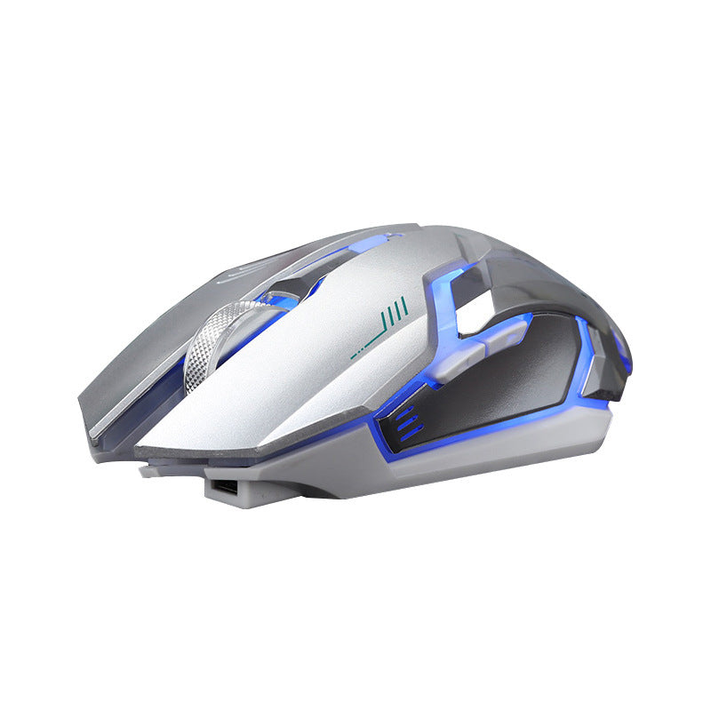 LuxMaus Leise,Drahtlose Gaming Maus - Hobbyfy