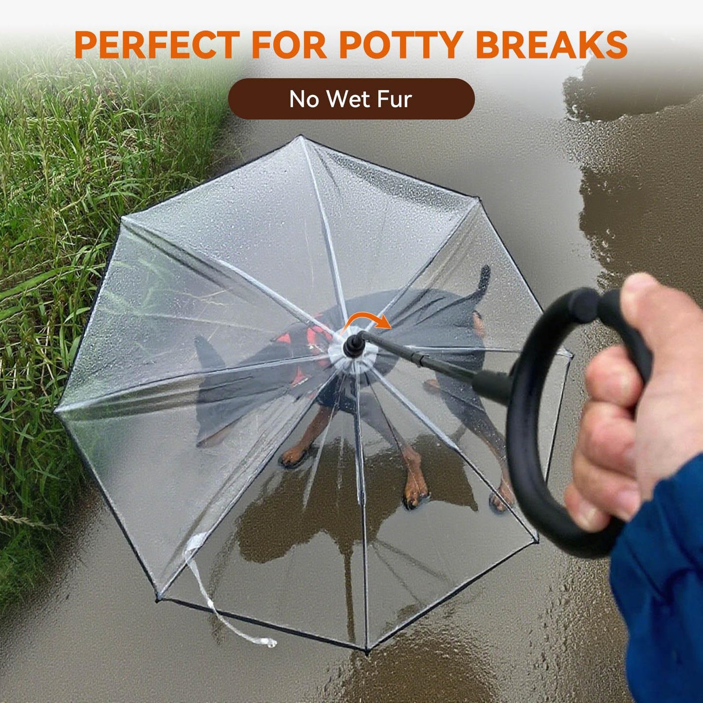 PawGuard Kleiner Hund Regenschirm Mit Verstellbare Leine Schutz