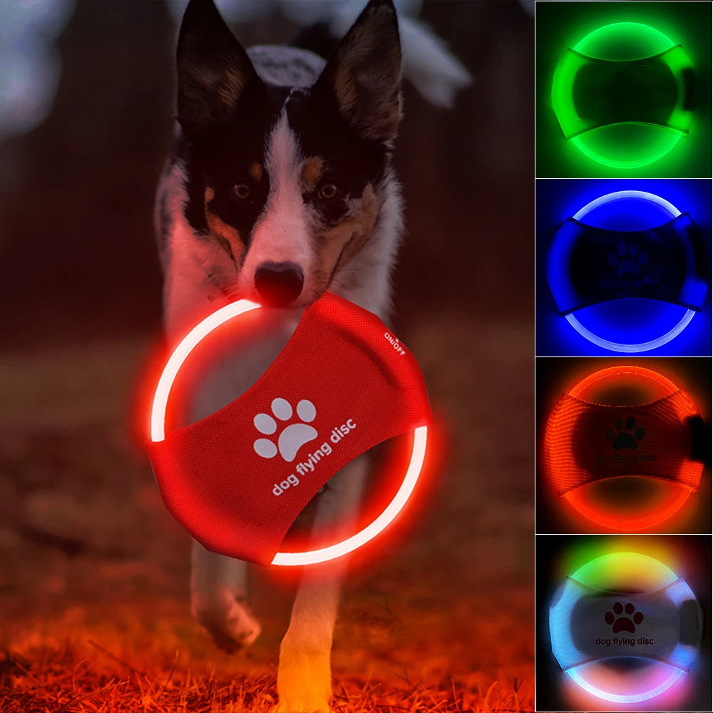 LED Frisbee Hundespielzeug USB Aufladbar Nachtspiel Leuchtend Sichtbar Für Training Und Spiel - Hobbyfy