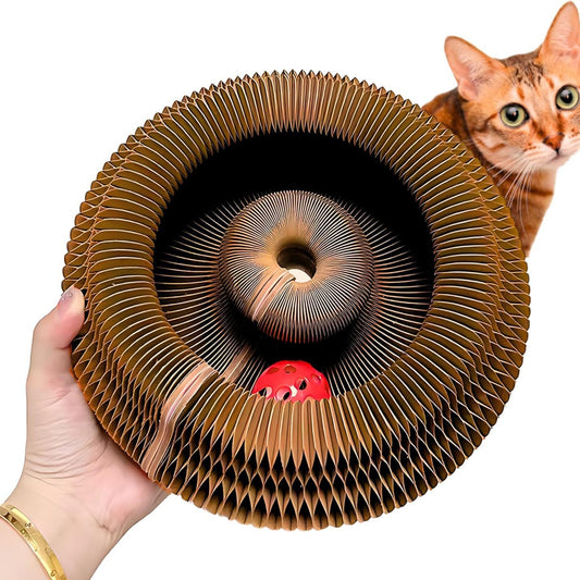 Katzenspielzeug Mit Glocken Akkordeon Kratzpost Kaffeebraun - Hobbyfy