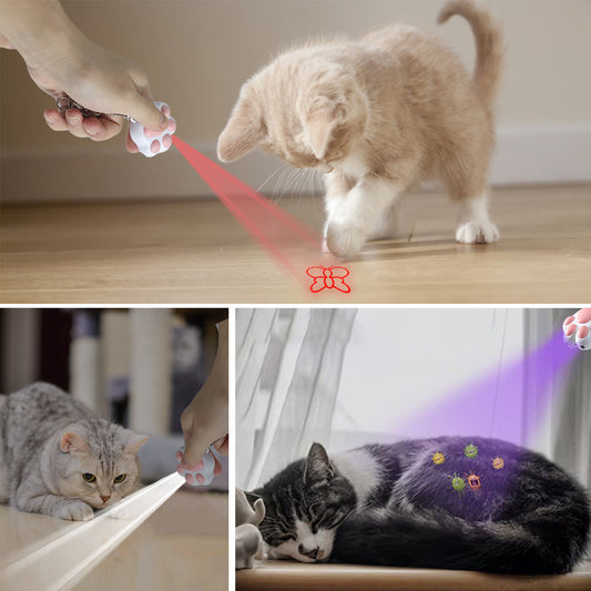 Multifunktionales Katzen Spielzeug - Hobbyfy