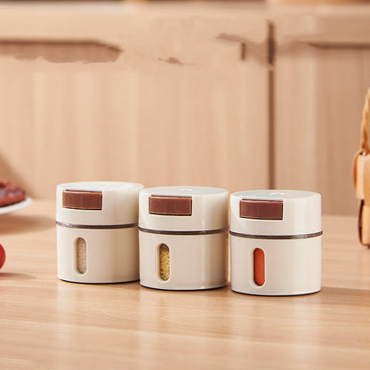 6-teiliges Wandmontage Gewürzbehälter Set mit Magnetbefestigung