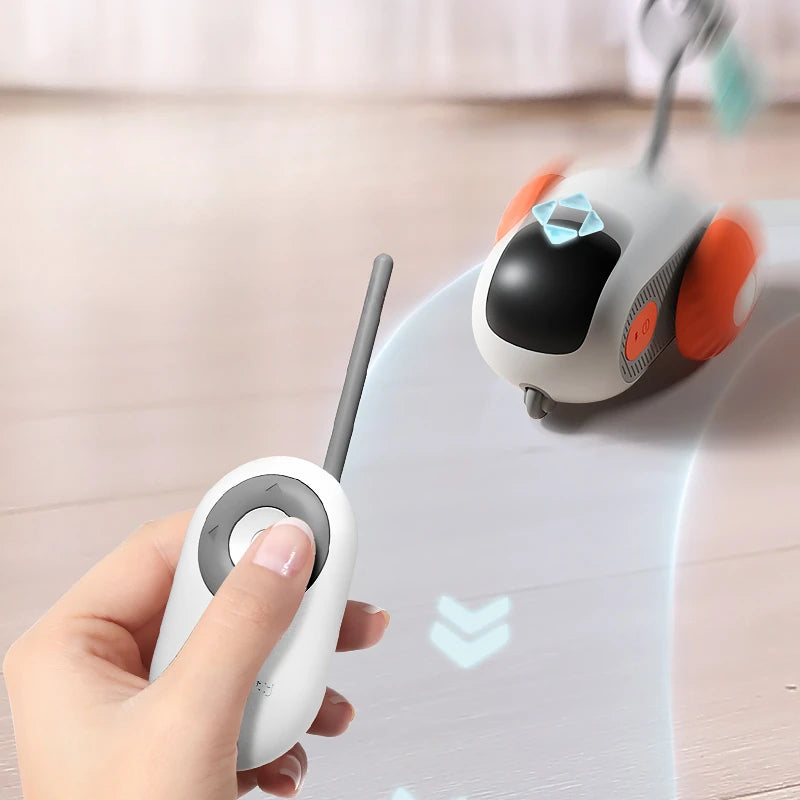 Katzen Auto Spielzeug Fernsteuerung USB Aufladbar Jagdmodus - Hobbyfy