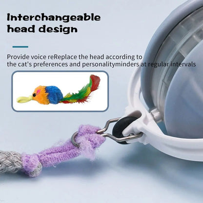 Upgrade Katzenspielzeug Autonom Rollender Ball Mit Austauschbarem Kopf Laserpointer