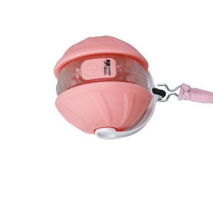 Upgrade Katzenspielzeug Autonom Rollender Ball Mit Austauschbarem Kopf Laserpointer