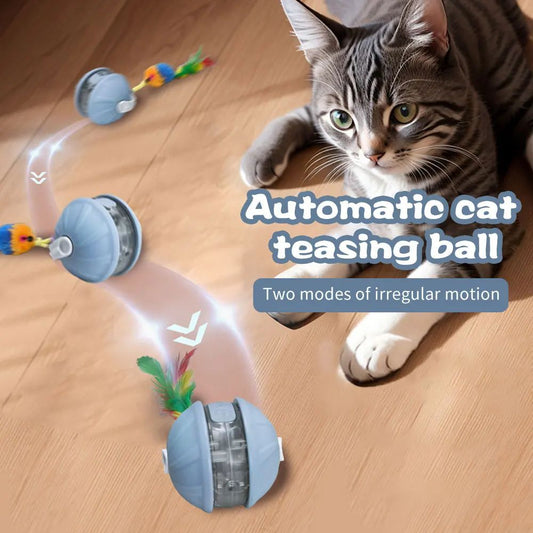 Upgrade Katzenspielzeug Autonom Rollender Ball Mit Austauschbarem Kopf Laserpointer