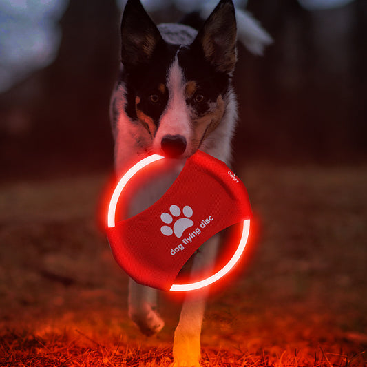 LED Frisbee Hundespielzeug USB Aufladbar Nachtspiel Leuchtend Sichtbar Für Training Und Spiel - Hobbyfy