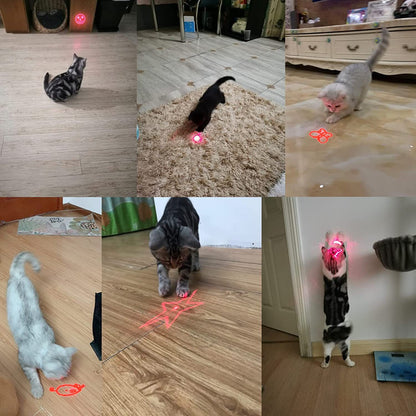 Multifunktionales Katzen Spielzeug - Hobbyfy